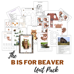 B is for Beaver Unit Pack