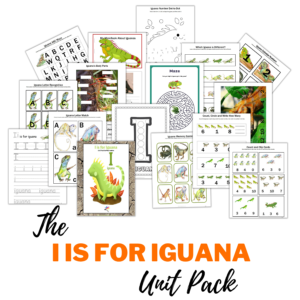 I is for Iguana Unit Pack