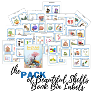 Beautiful Shells Book Bin Labels Pack