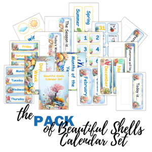 Beautiful Shells Calendar Pack