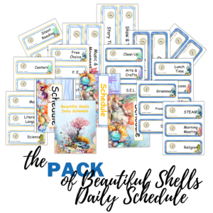 Beautiful Shells Daily Schedule Pack