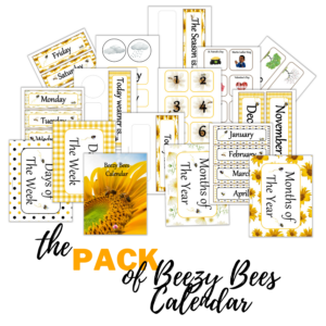 Beezy Bees Calendar Chart Pack