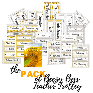 Beezy Bees Teacher Trolley Labels Pack