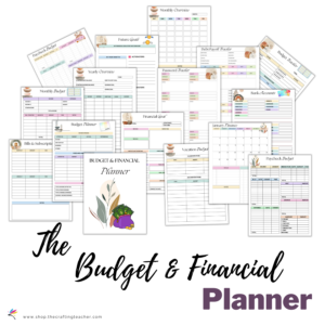 Budget & Financial Planner