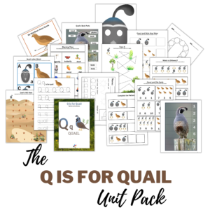 Q is for Quail Unit Pack