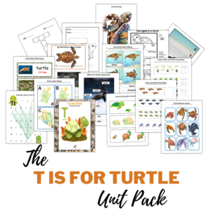 T is for Turtle Unit Pack