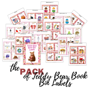 Teddy Bear Book Bin Labels