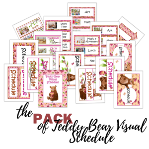 Teddy Bear Visual Schedule